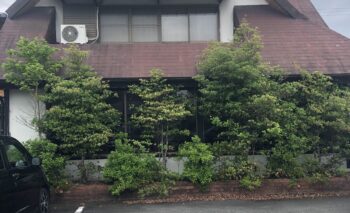 📷🎥 掛川飯店 （かけがわはんてん）掛川ラーメン屋 飲み屋ガイド