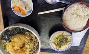 📷🎥 掛川サービスエリア 小笠PA ご飯屋さん 飲み屋ガイド